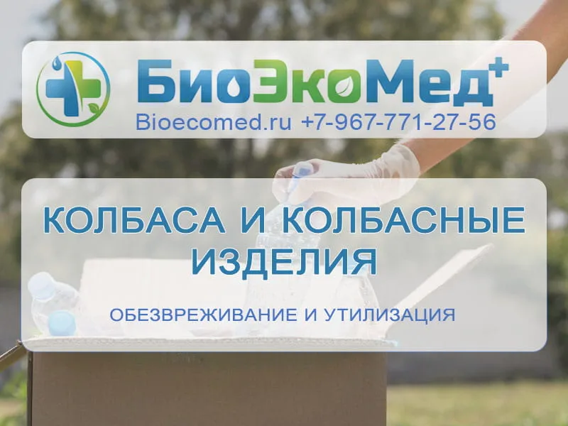 Колбаса и колбасные изделия